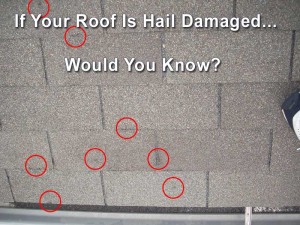 Hail Damage Contractor Near Me